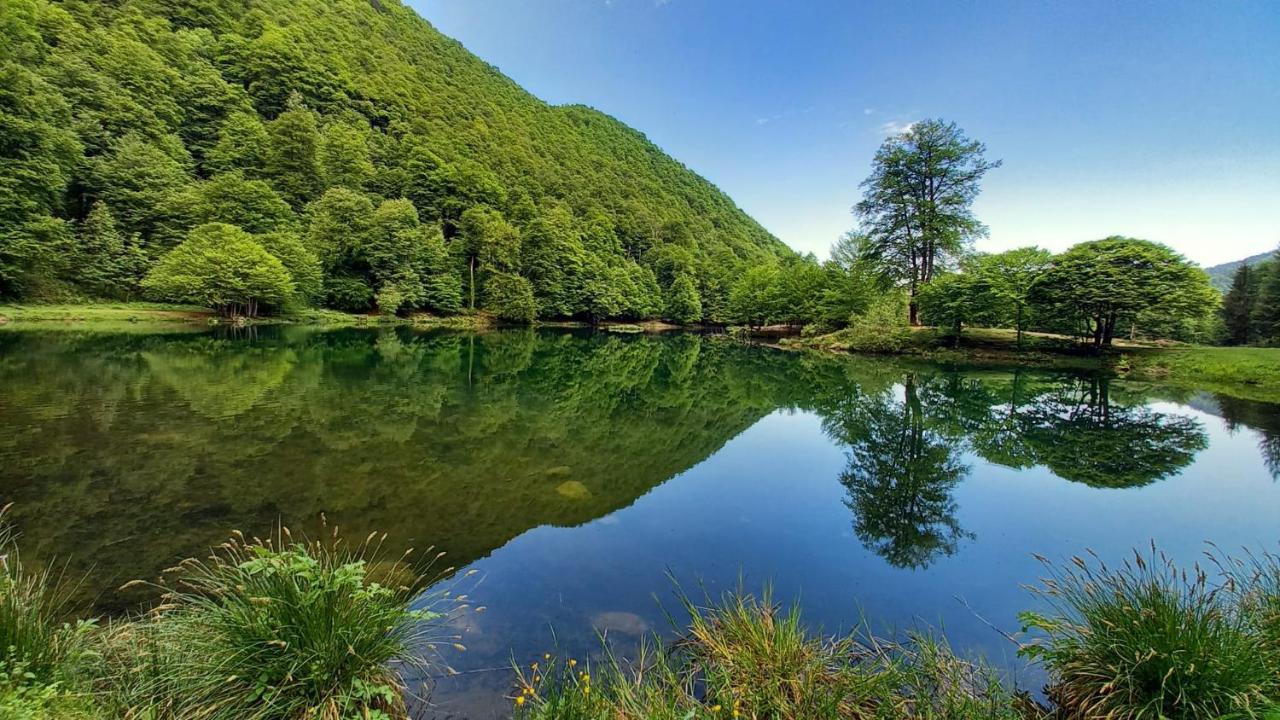 Le Jardin De Moulis, Saint Girons, Ariege, Pyrenees, Bed and Breakfast Εξωτερικό φωτογραφία