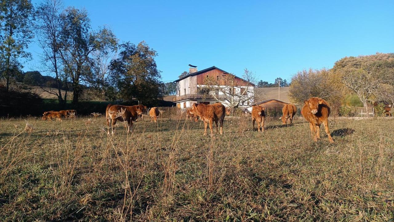 Le Jardin De Moulis, Saint Girons, Ariege, Pyrenees, Bed and Breakfast Εξωτερικό φωτογραφία