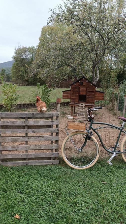 Le Jardin De Moulis, Saint Girons, Ariege, Pyrenees, Bed and Breakfast Εξωτερικό φωτογραφία